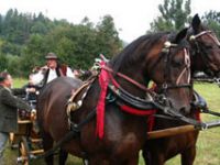 Fiakrzy nie tylko pokazywali swe umiejętności - odpowiadali też na pytania komisji